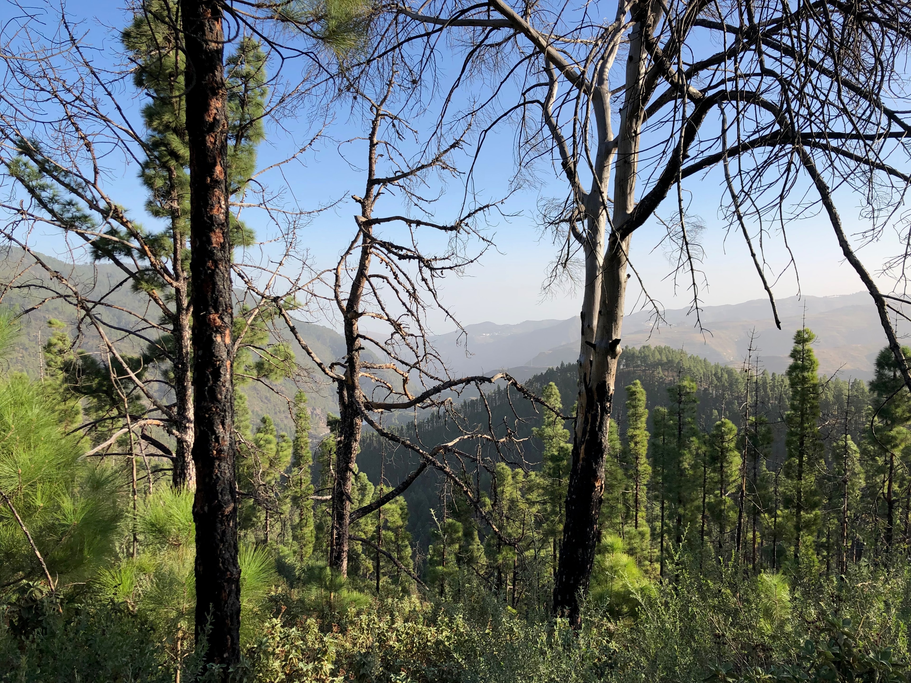 Gran Canaria Traverse - photo 9