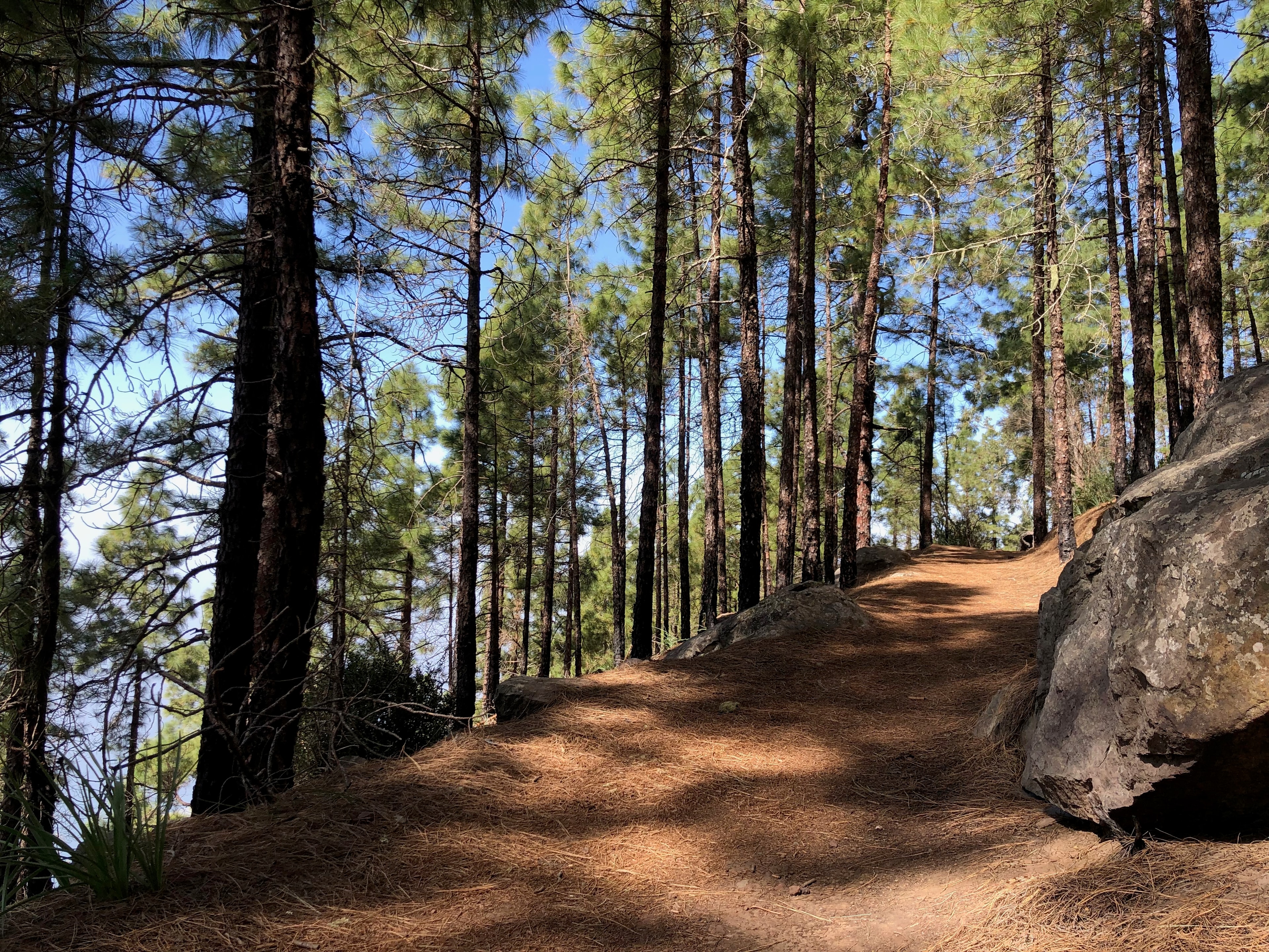 Gran Canaria Traverse - photo 8