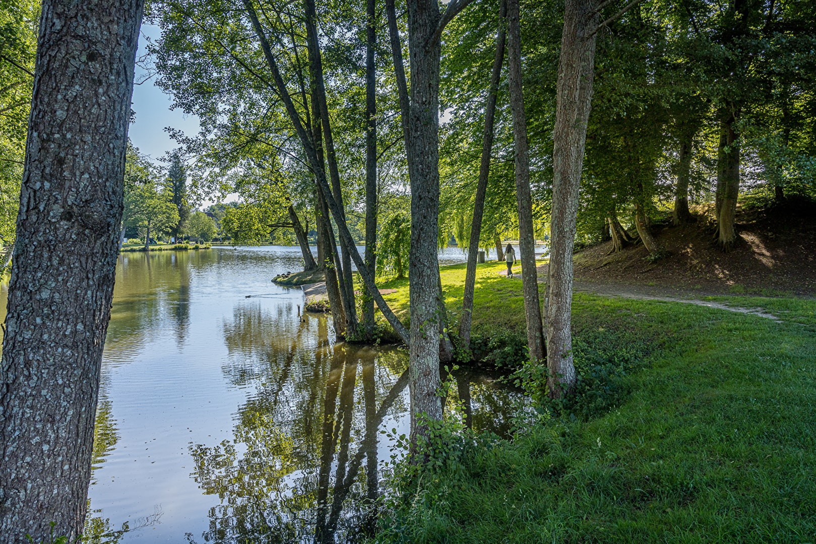 Les Chemins du Perche forestier - photo 7