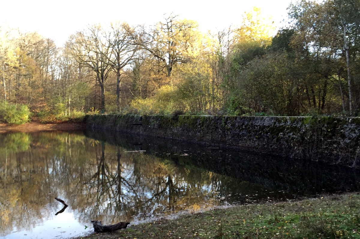 Les Chemins de la forêt de Rambouillet - photo 8