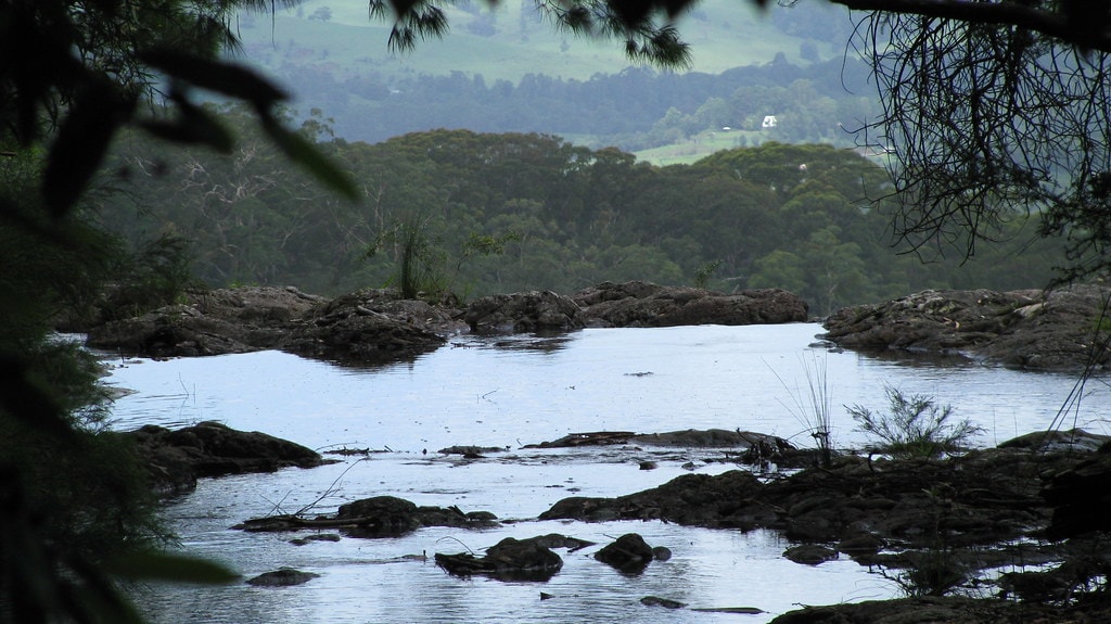 Gidjuum Gulganyi Walk - photo 12