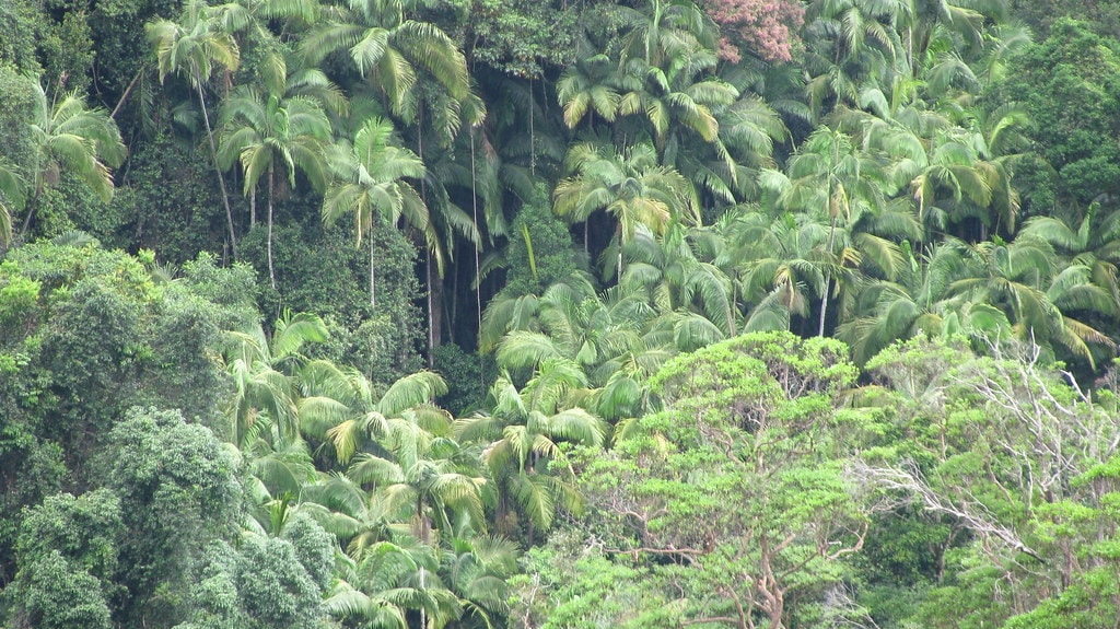Gidjuum Gulganyi Walk - photo 13