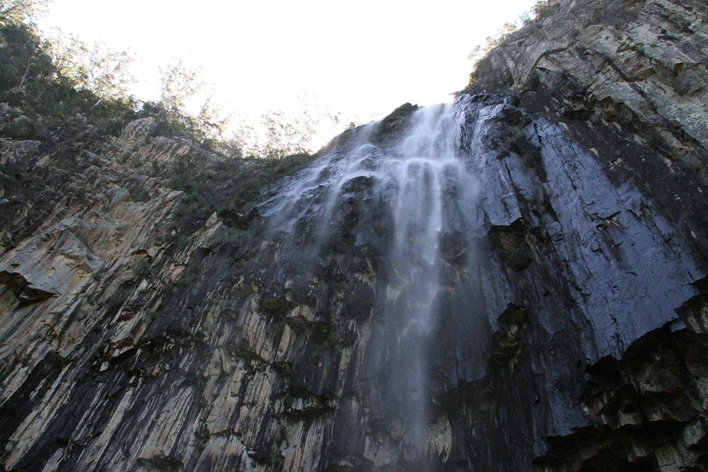 Gidjuum Gulganyi Walk - photo 6