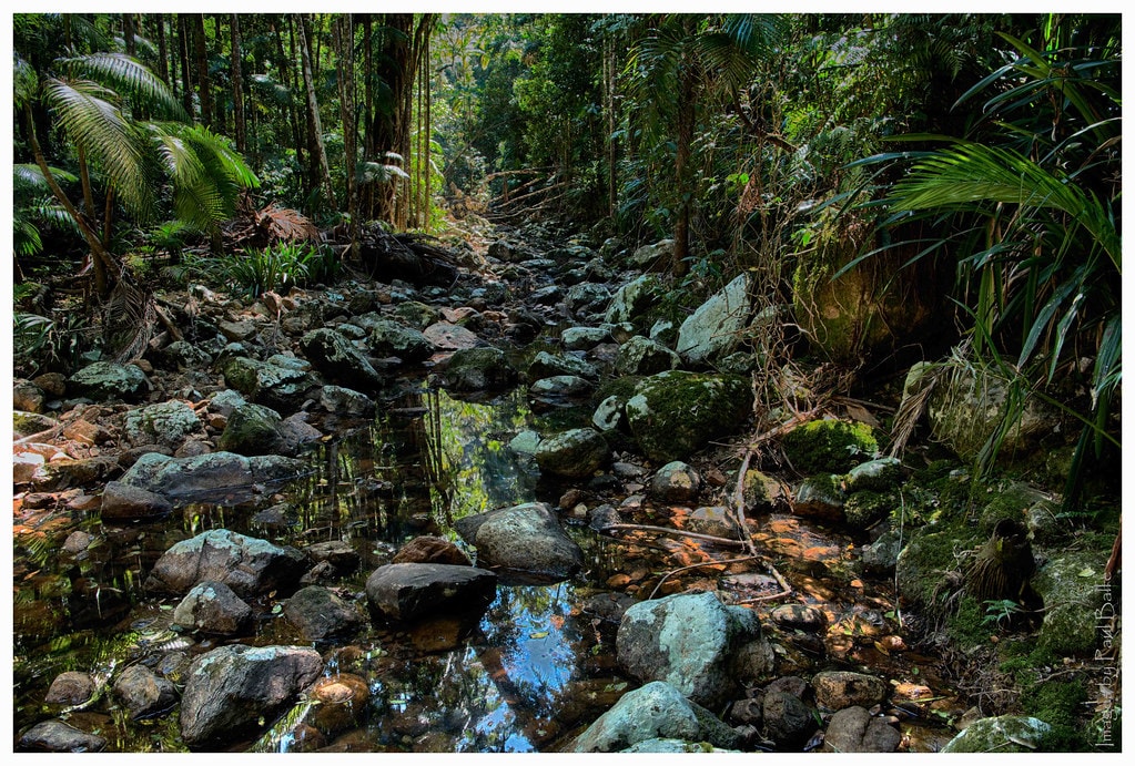 Gidjuum Gulganyi Walk - photo 11