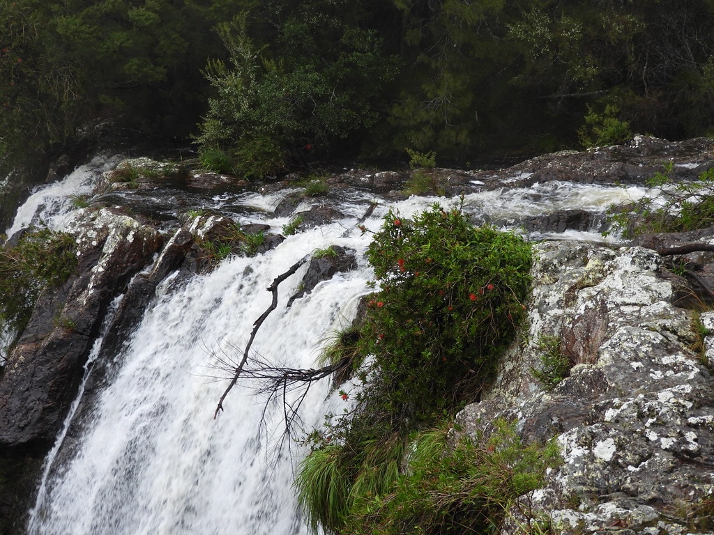 Gidjuum Gulganyi Walk - photo 4