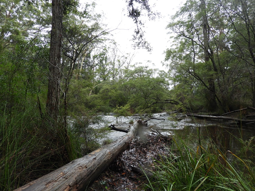Gidjuum Gulganyi Walk - photo 9