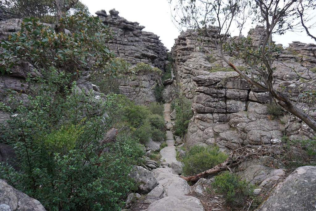 Grampians Peaks Trail - photo 8