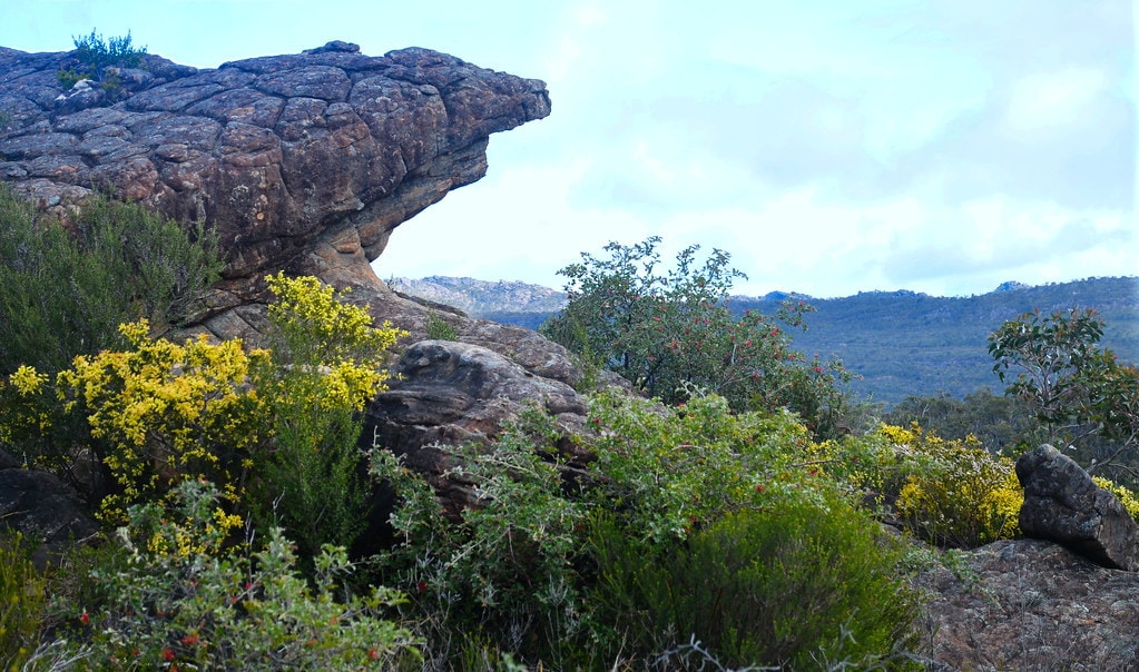 Grampians Peaks Trail - photo 10