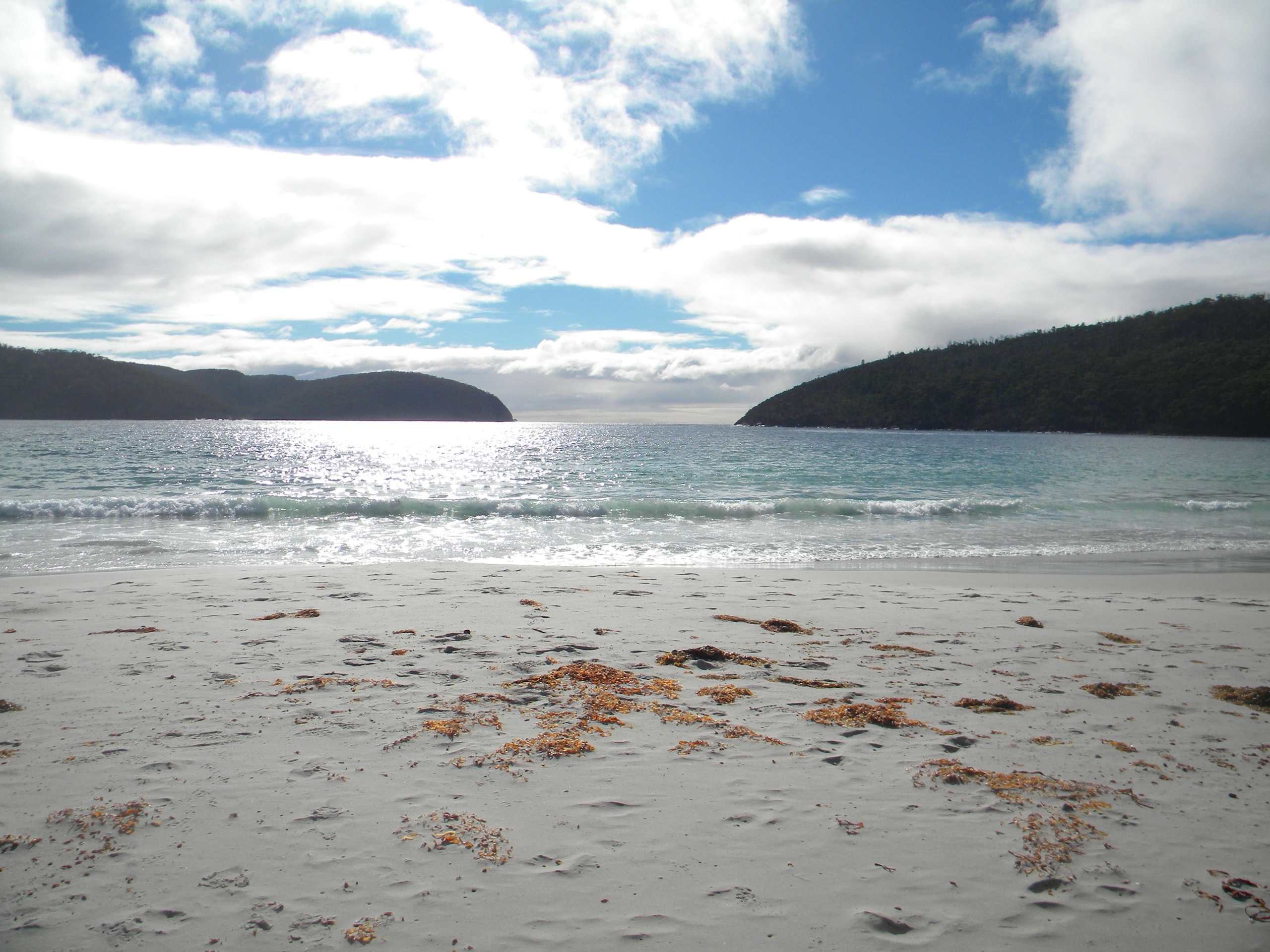 Three Capes Track - photo 4
