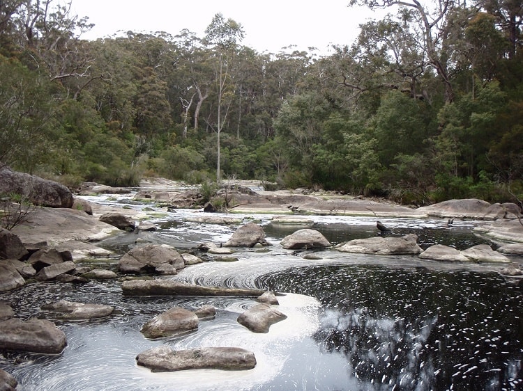 Bibbulmun Track - photo 5