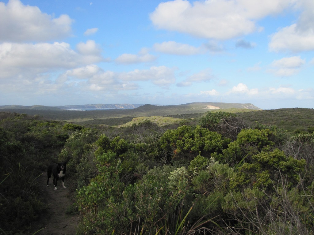 Bibbulmun Track - photo 4