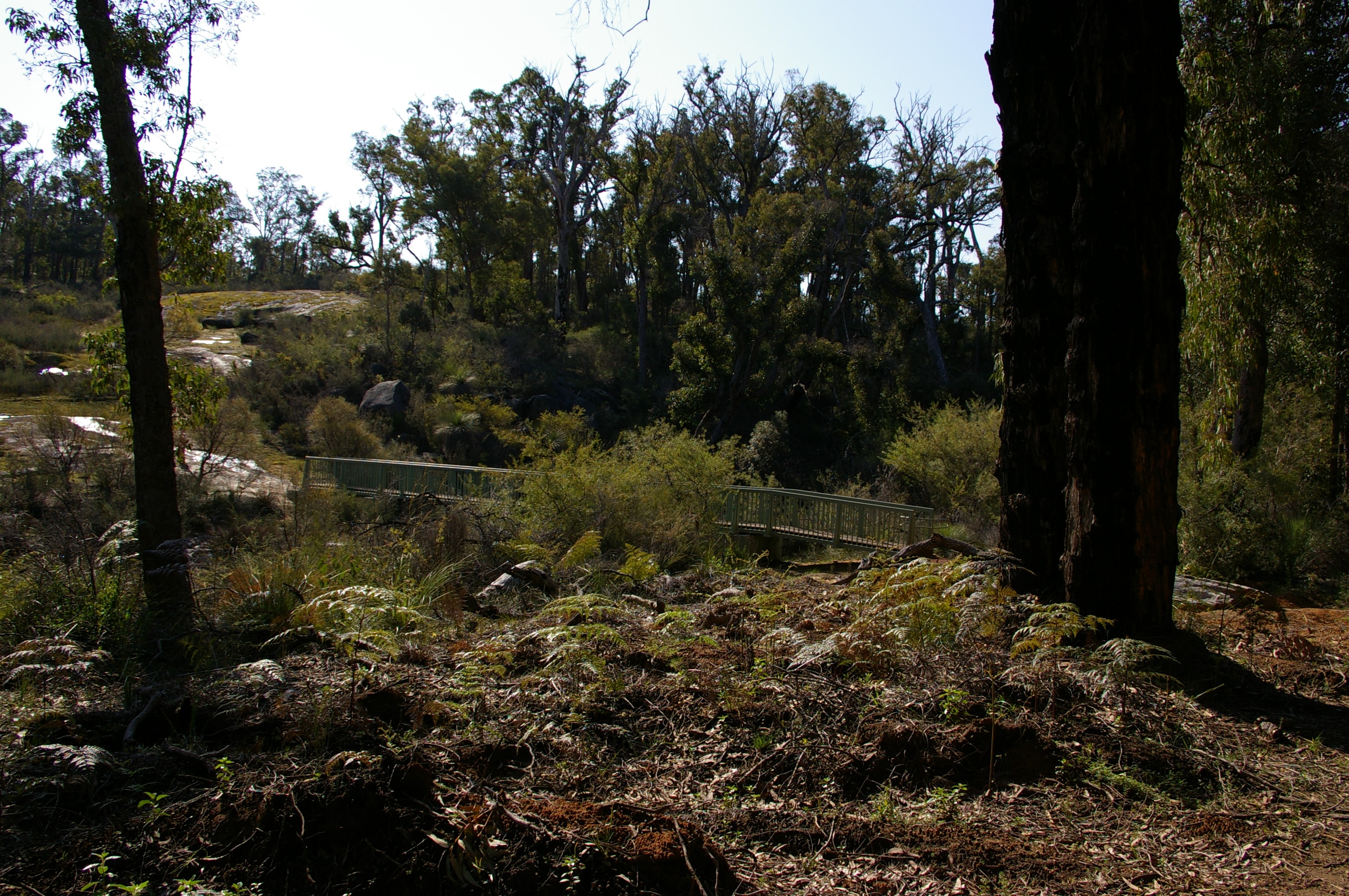 Bibbulmun Track - photo 7
