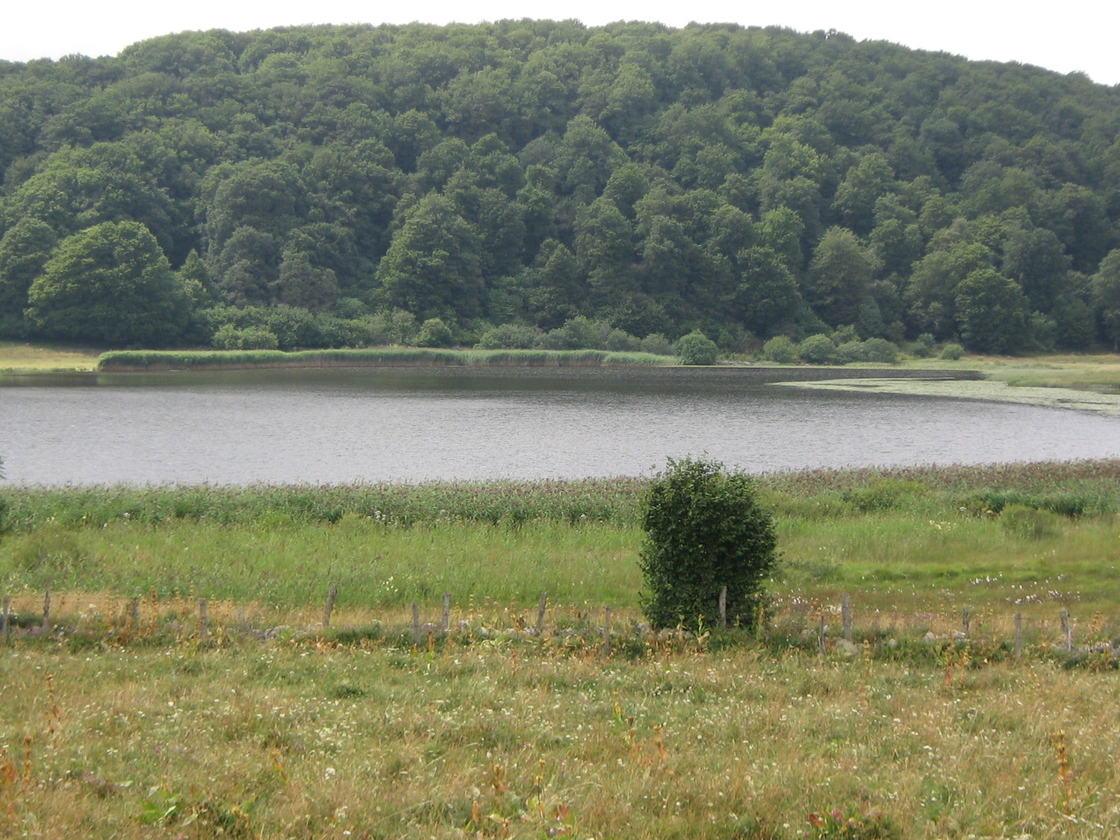 GR60 Tour de l'Aubrac - photo 5