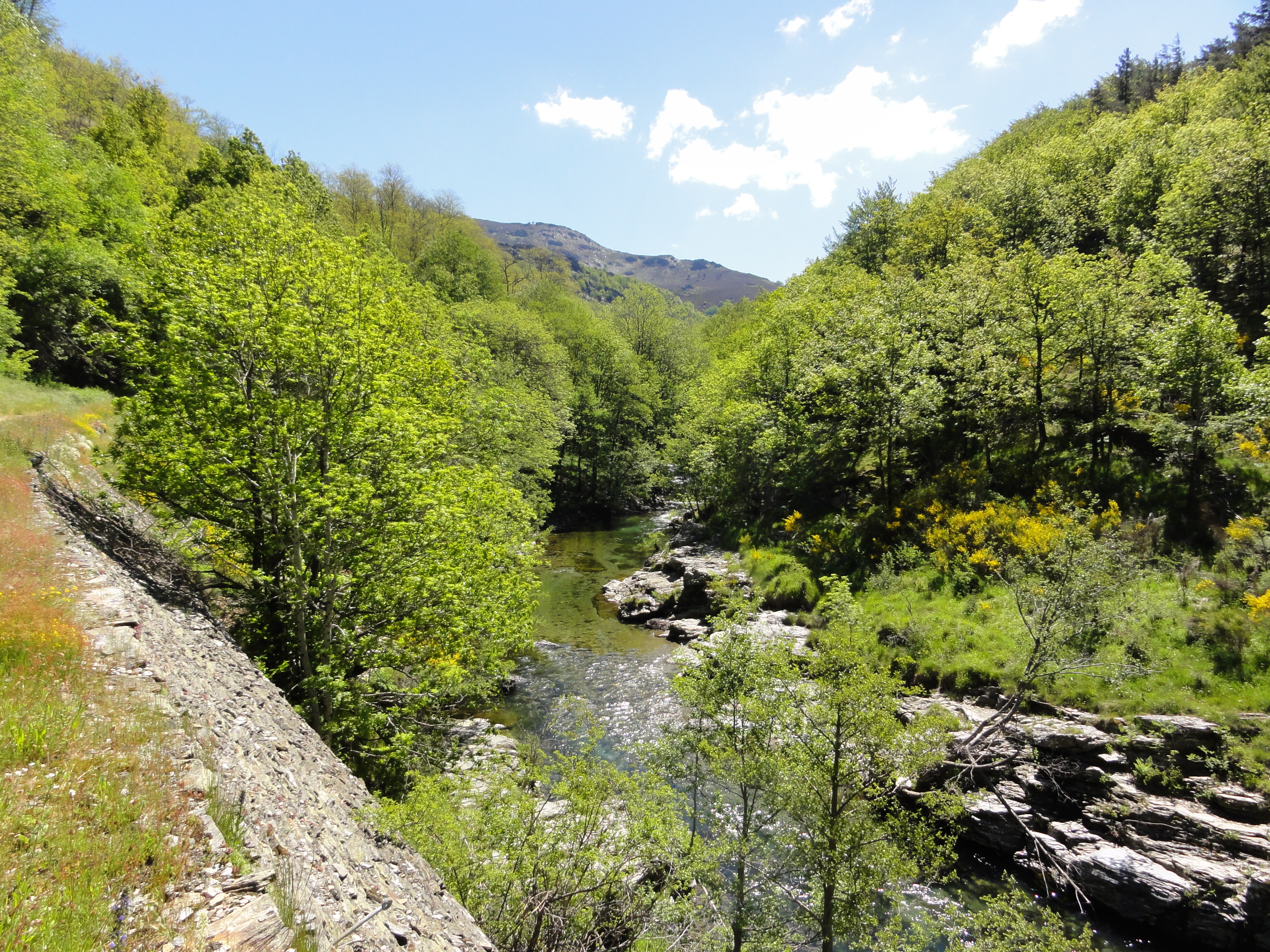 Chemin de Stevenson - photo 3