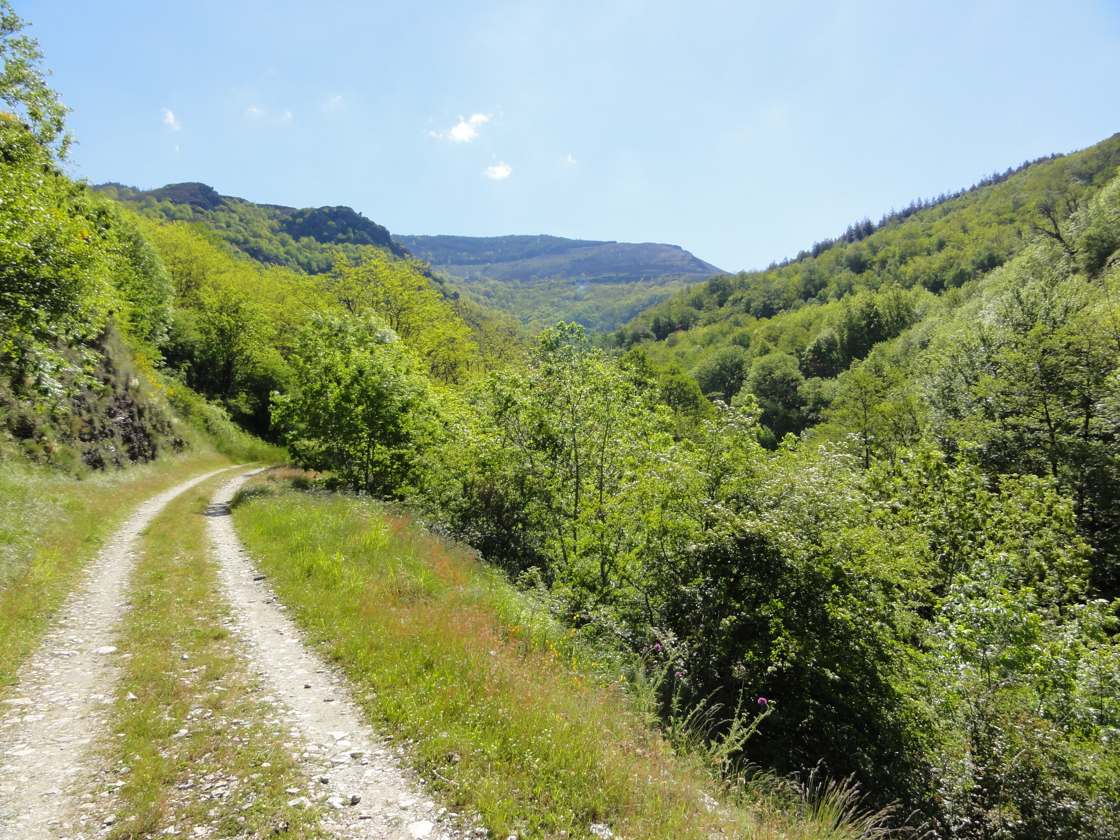 Chemin de Stevenson - photo 4