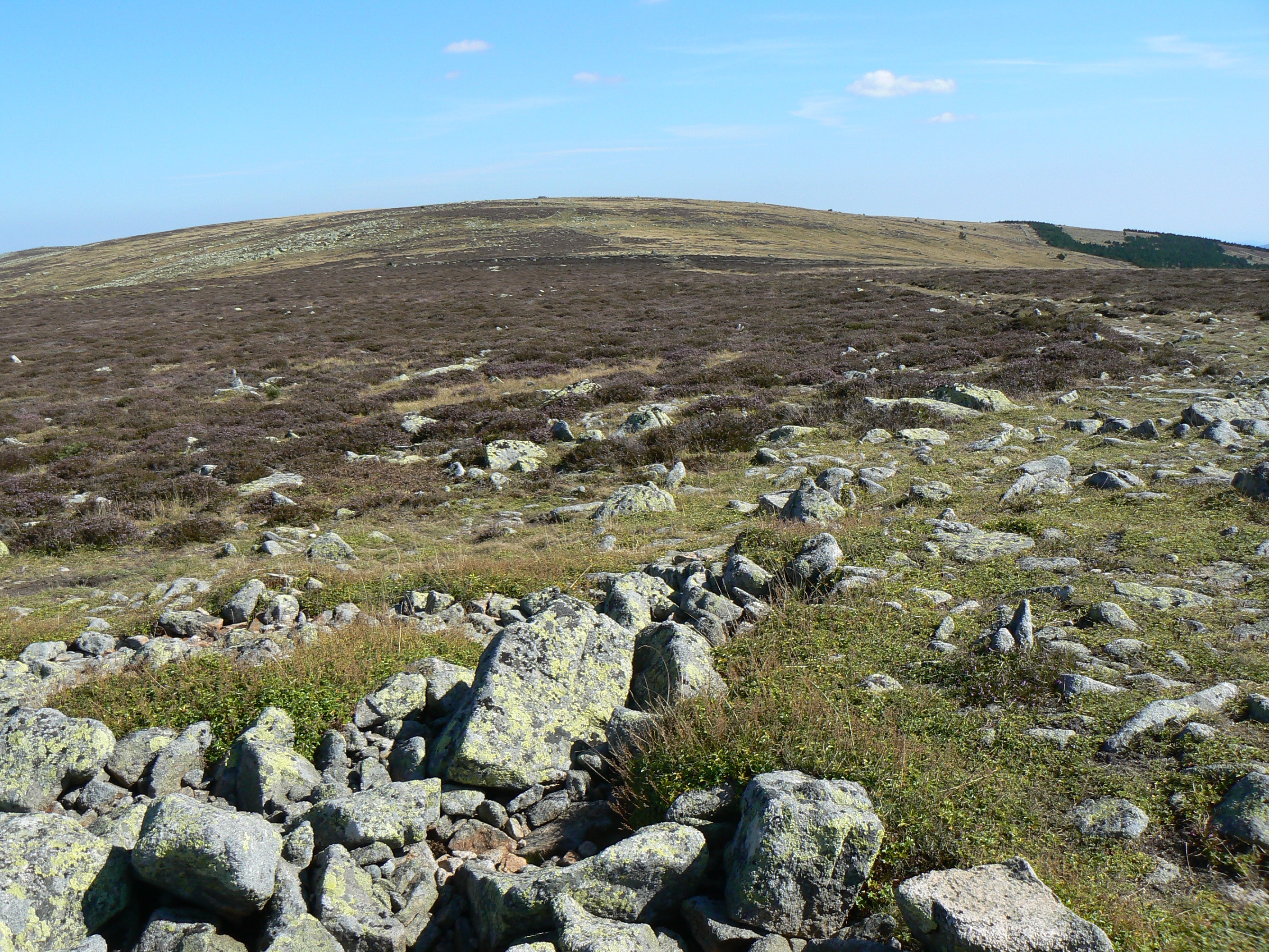 Chemin de Stevenson - photo 7