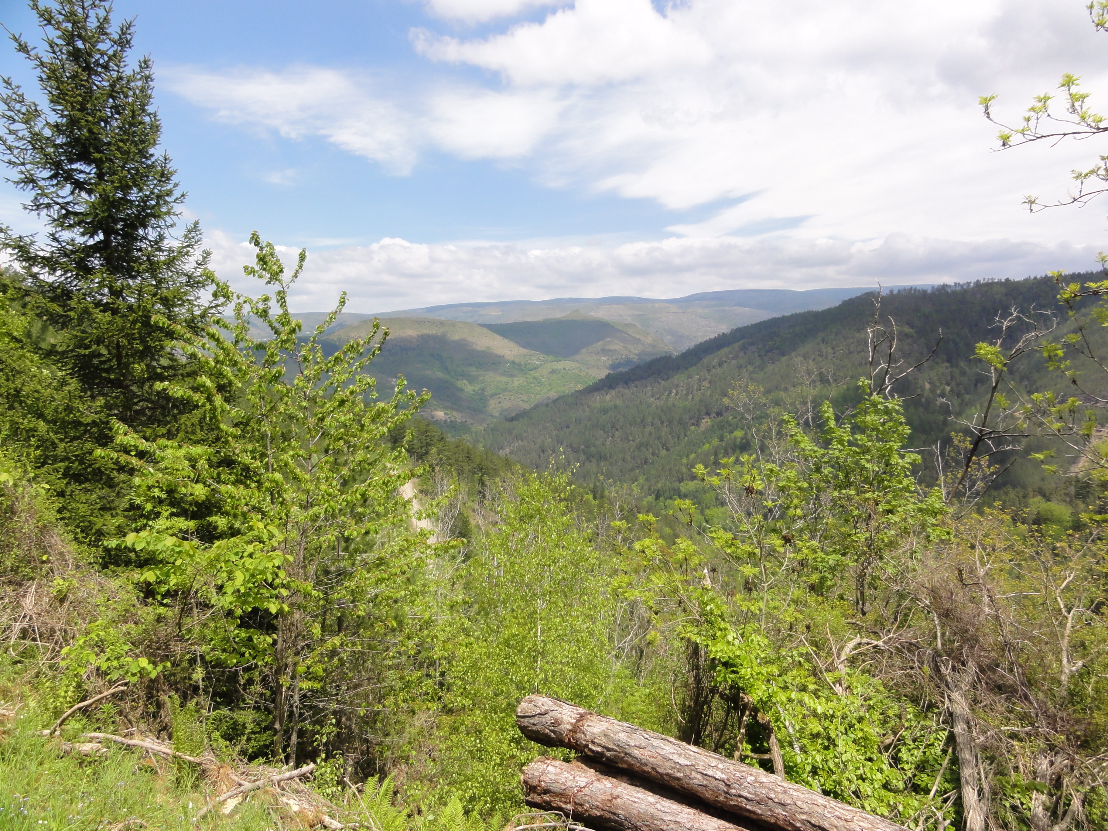 Chemin de Stevenson - photo 2