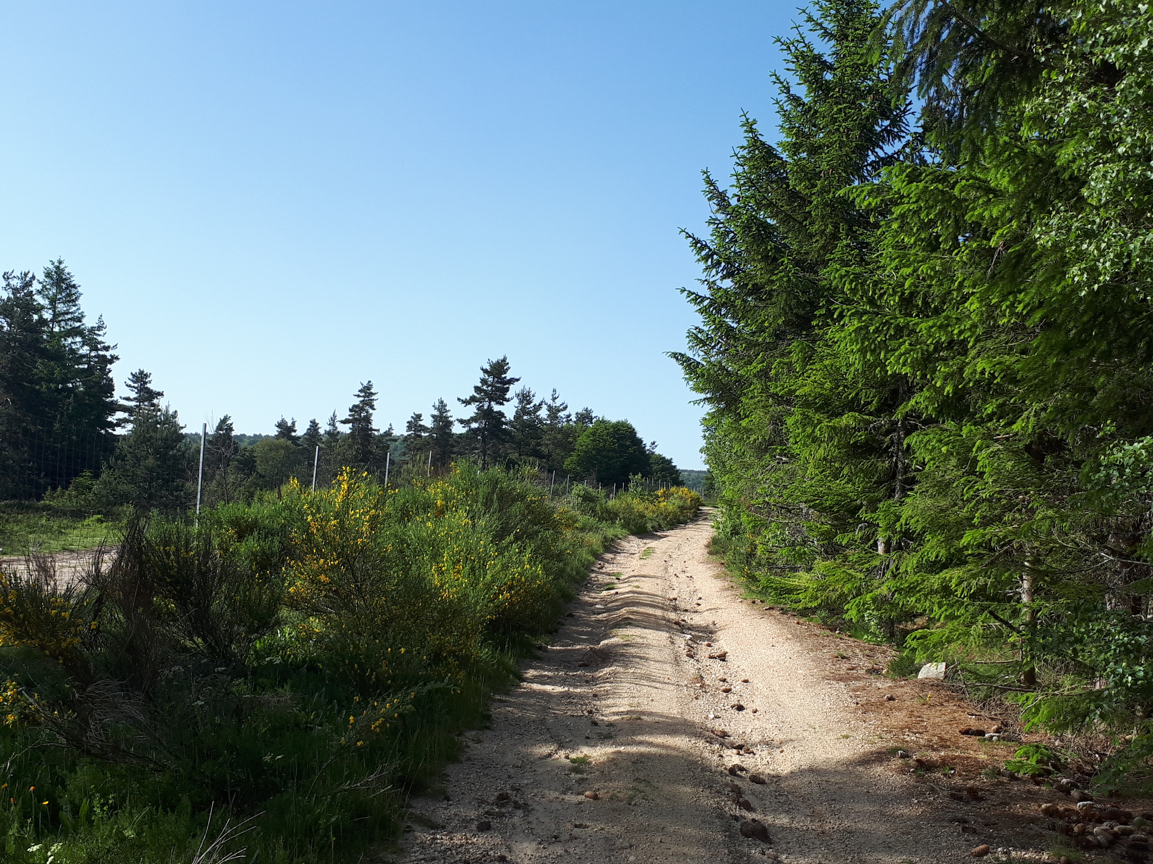 Chemin de Stevenson - photo 6