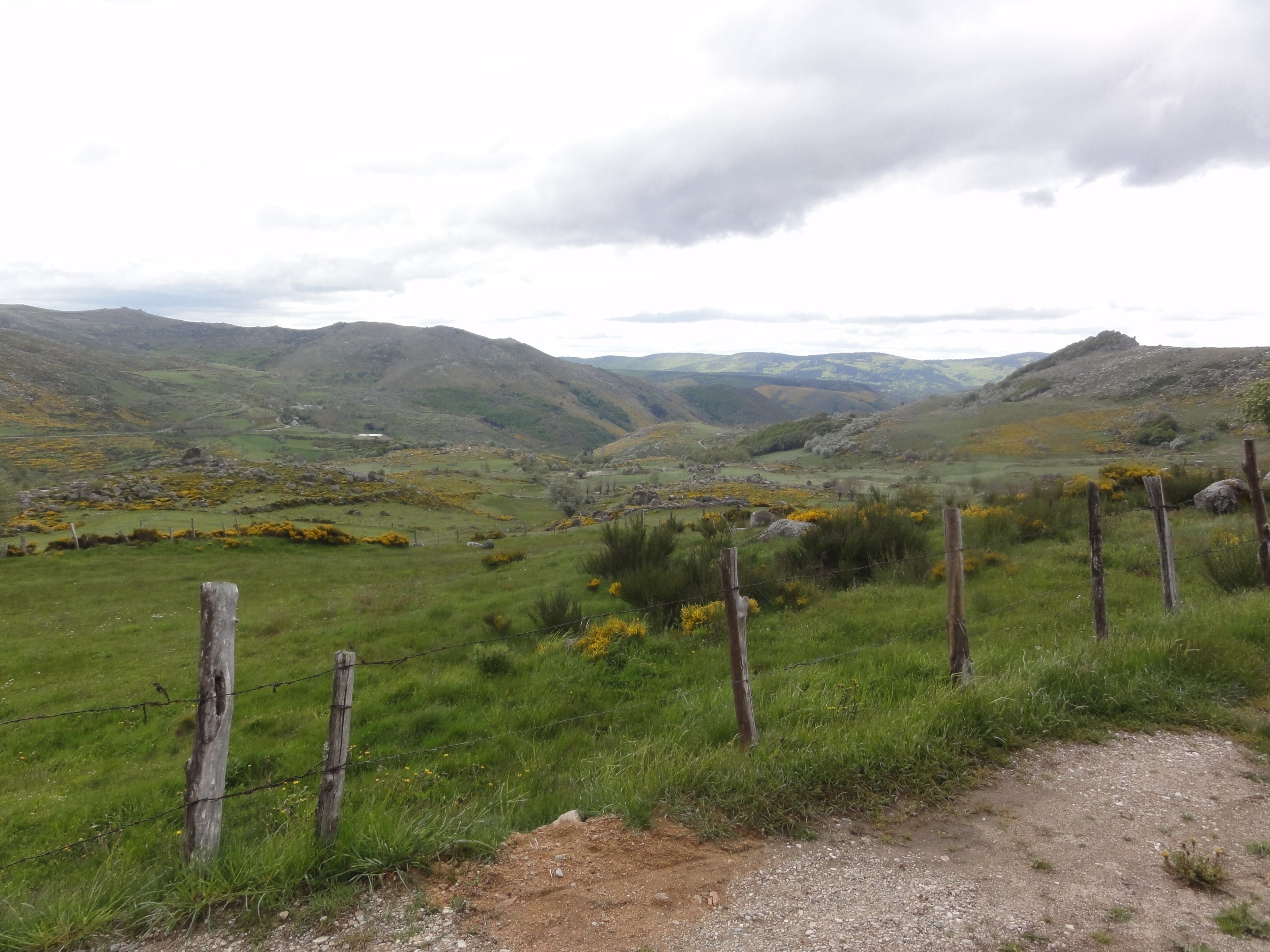 Chemin de Stevenson - photo 5