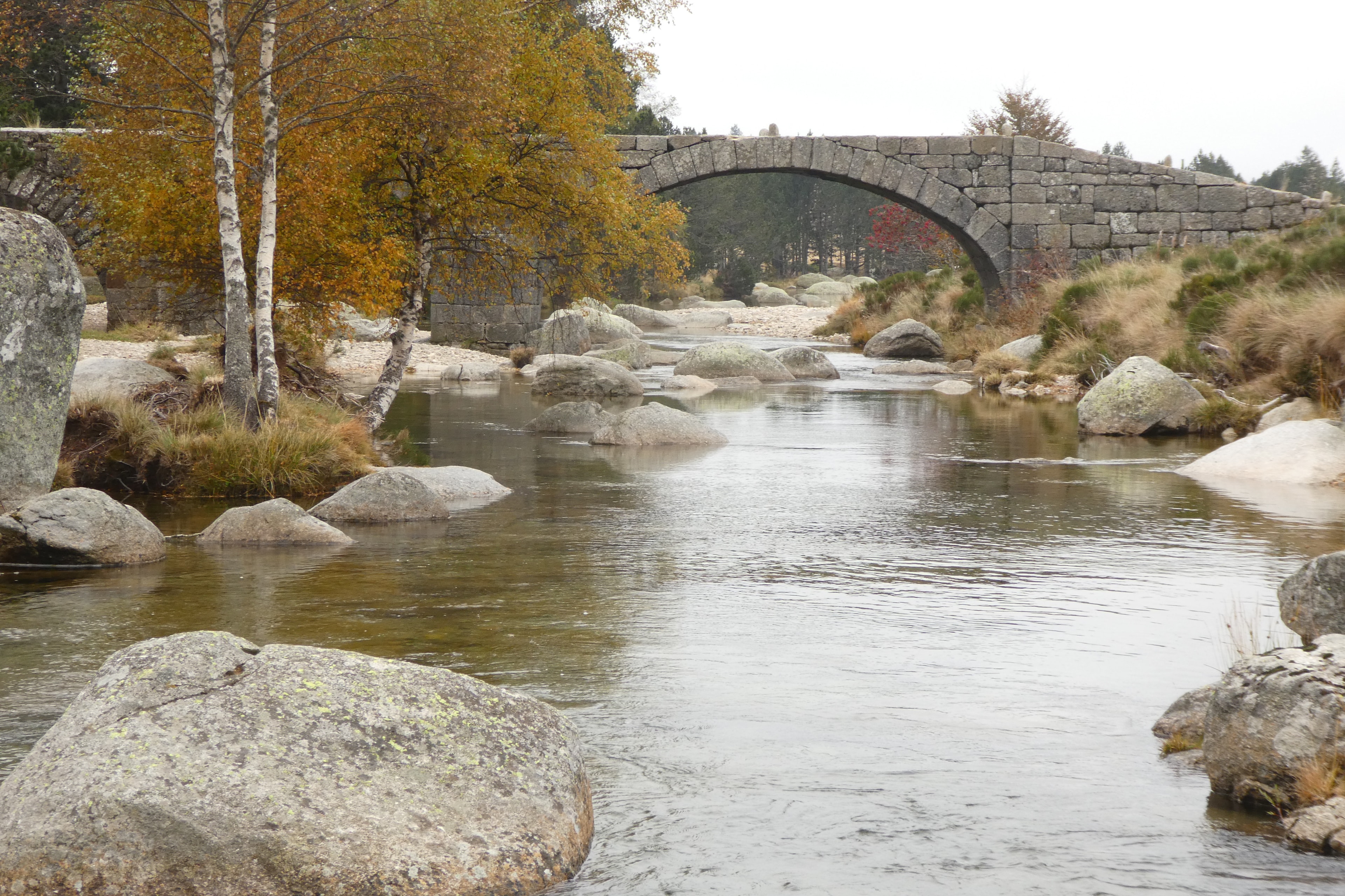 Chemin de Stevenson - photo 8