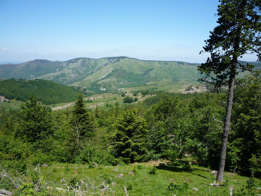 GR71 Tour du Larzac - photo 2