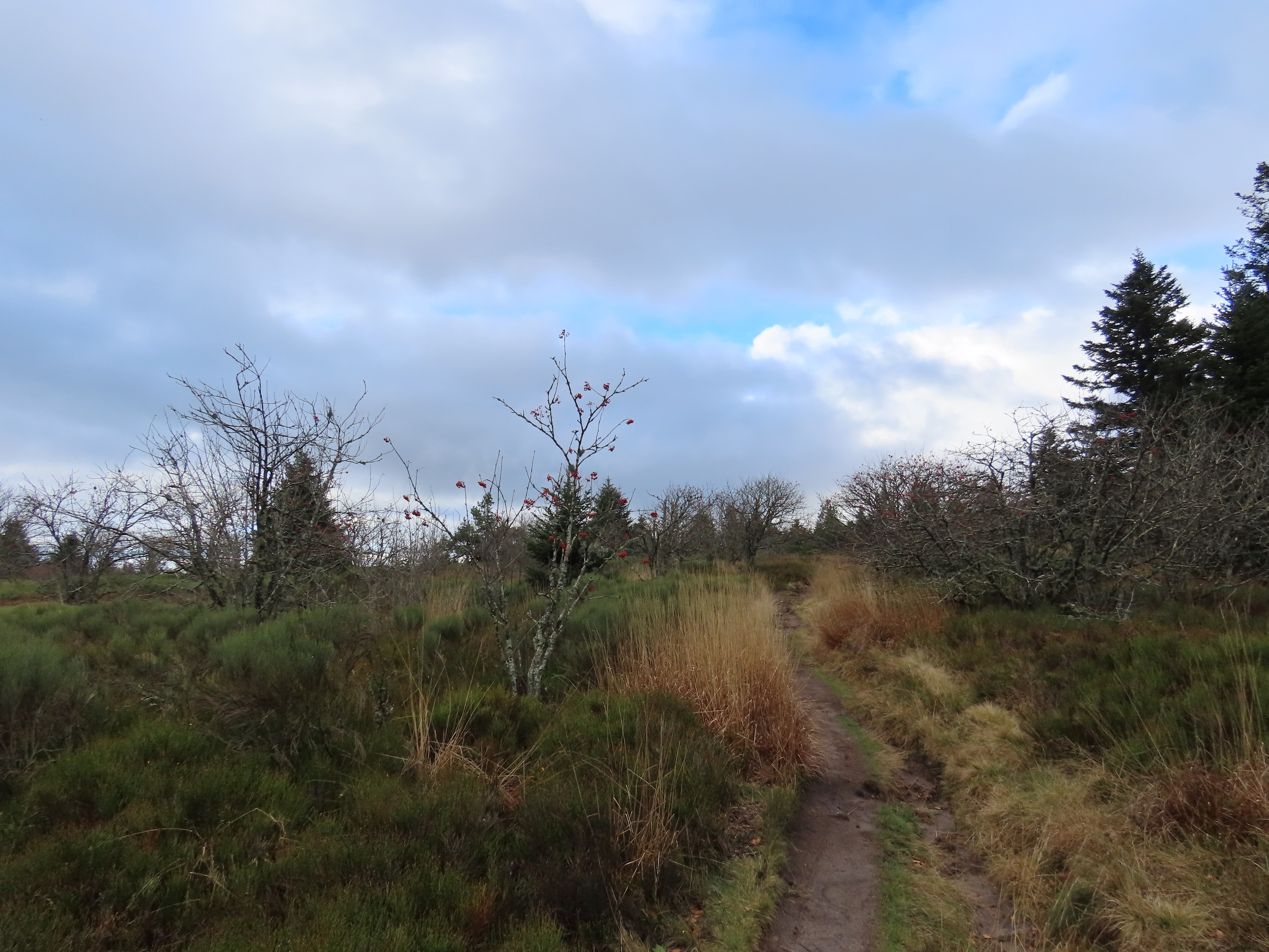 Tour du Pilat - photo 6