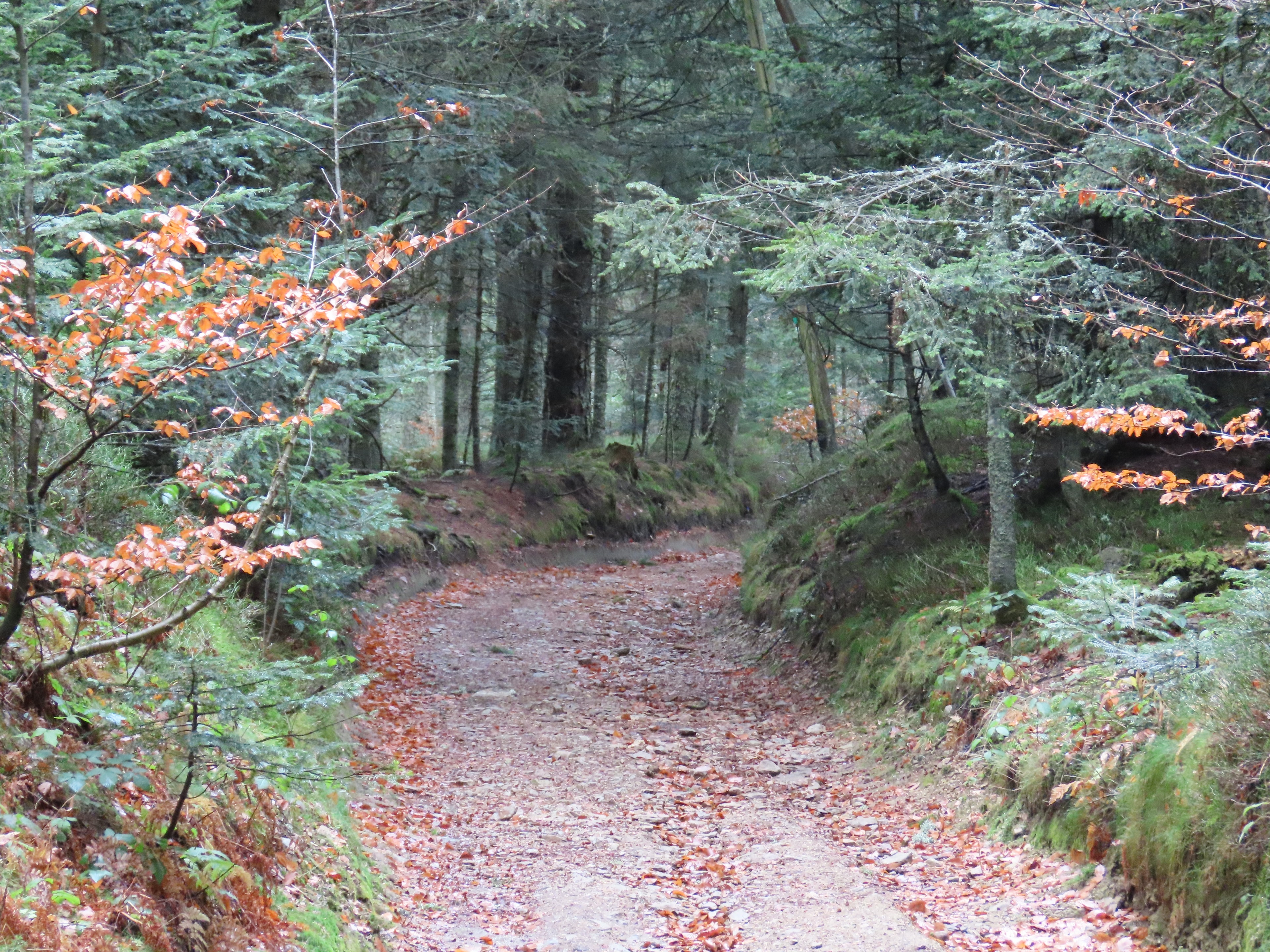 Tour du Pilat - photo 5