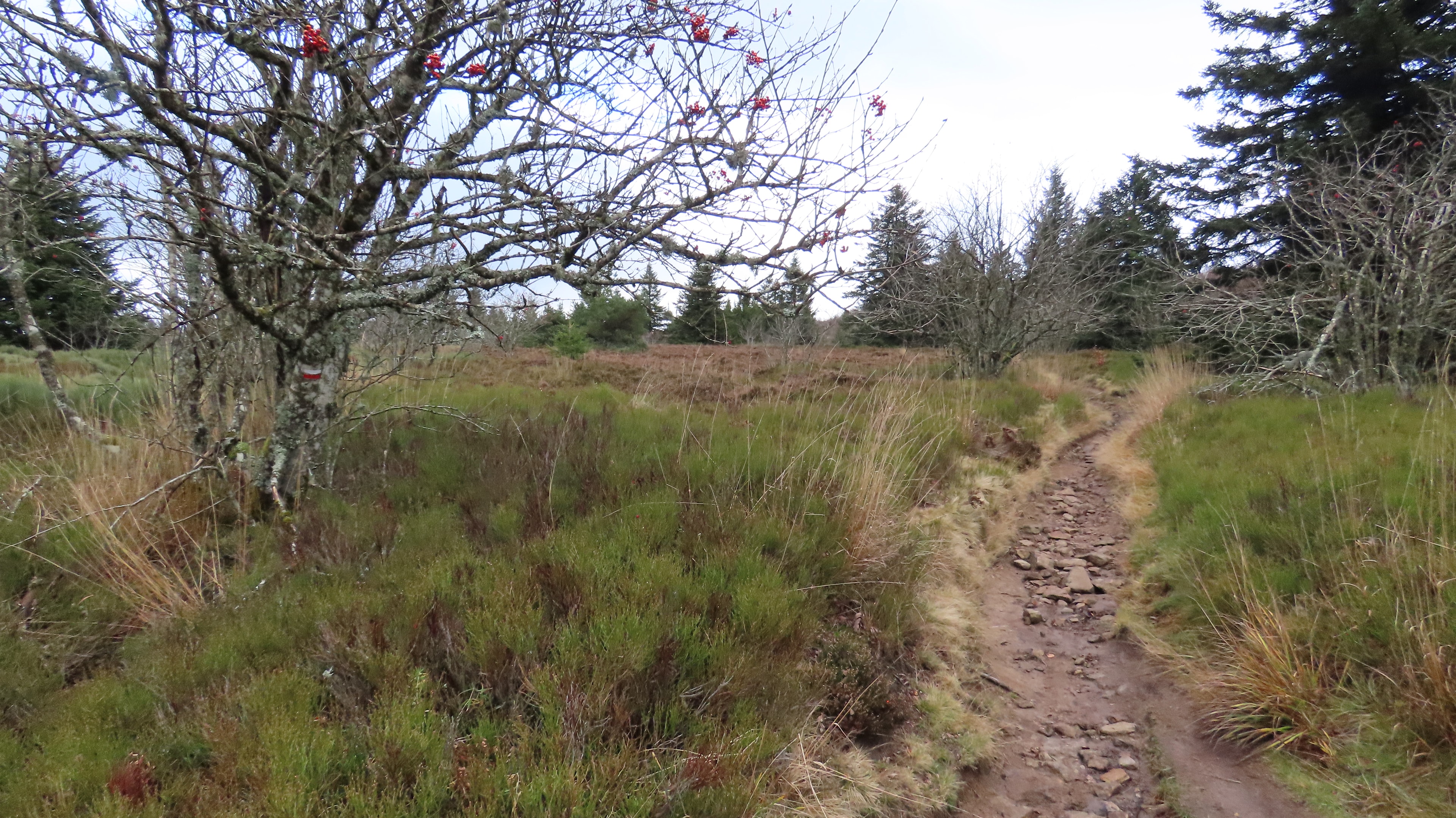 Tour du Pilat - photo 4