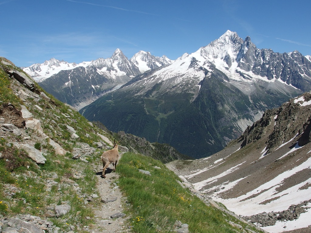 Tour des Aiguilles Rouges - photo 3