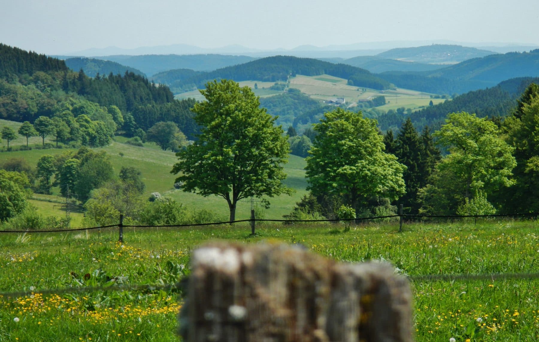 Rothaarsteig