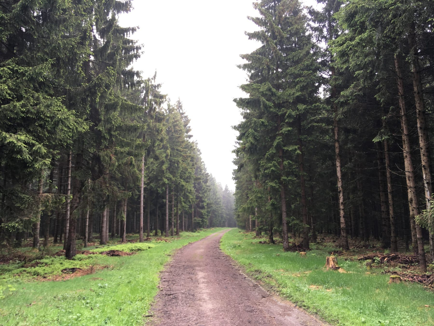 Rennsteig