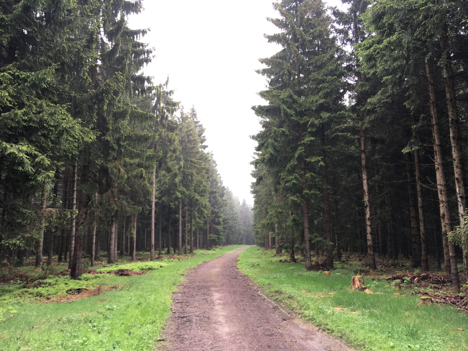 Rennsteig - photo 1