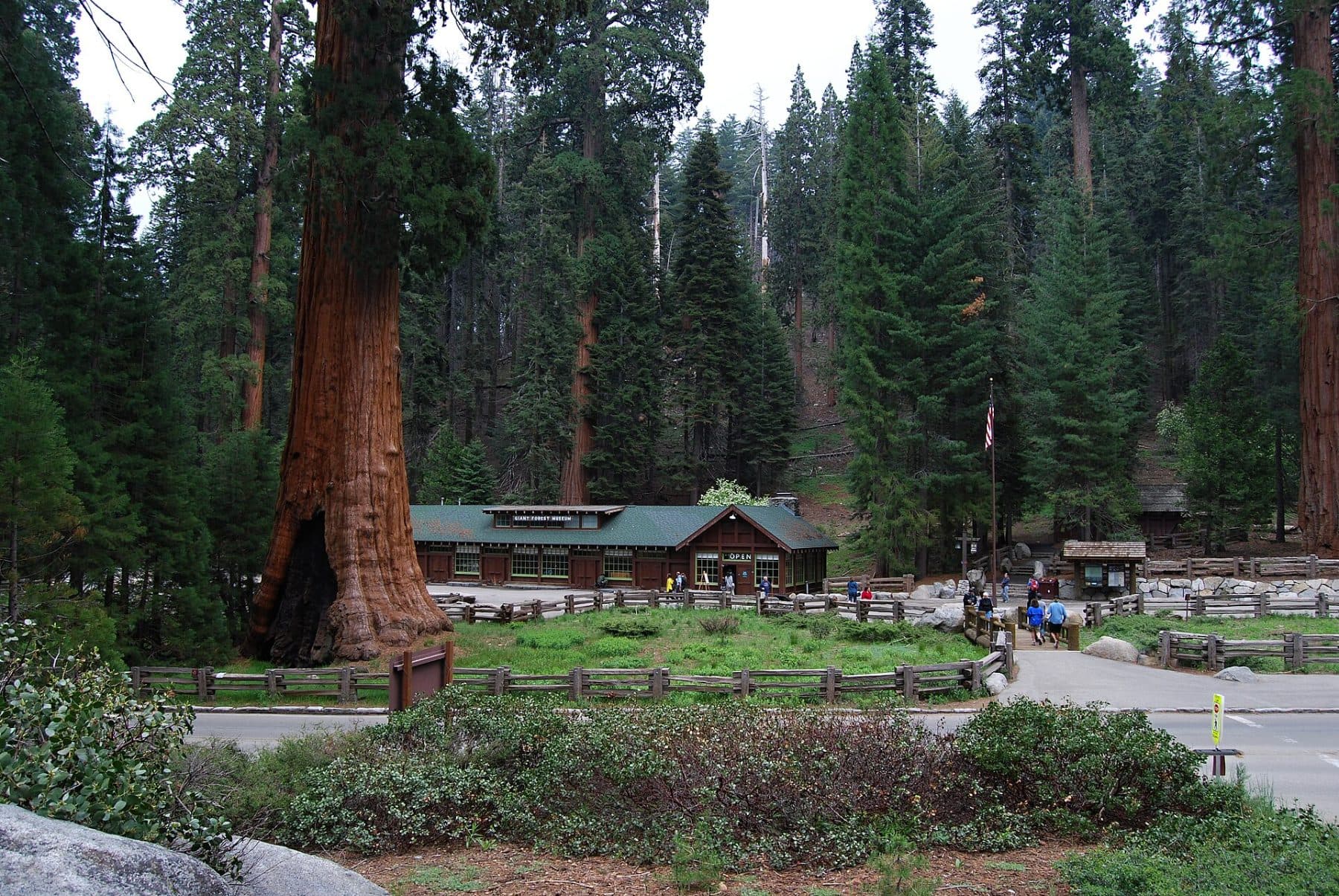 High Sierra Trail