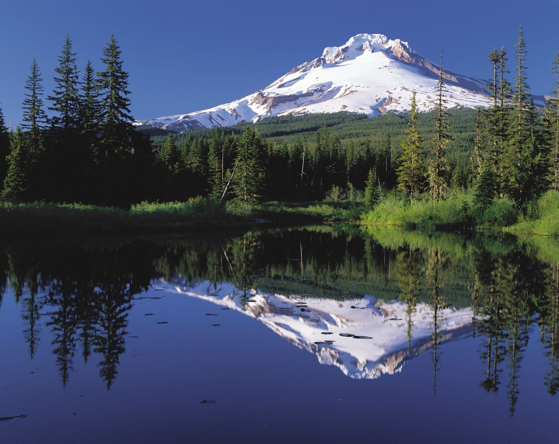 Timberline Trail