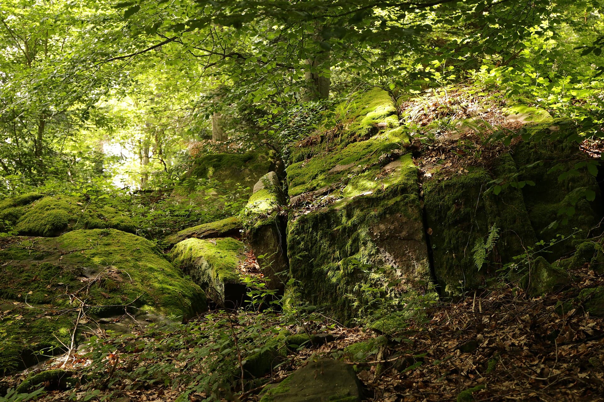 Nibelungensteig