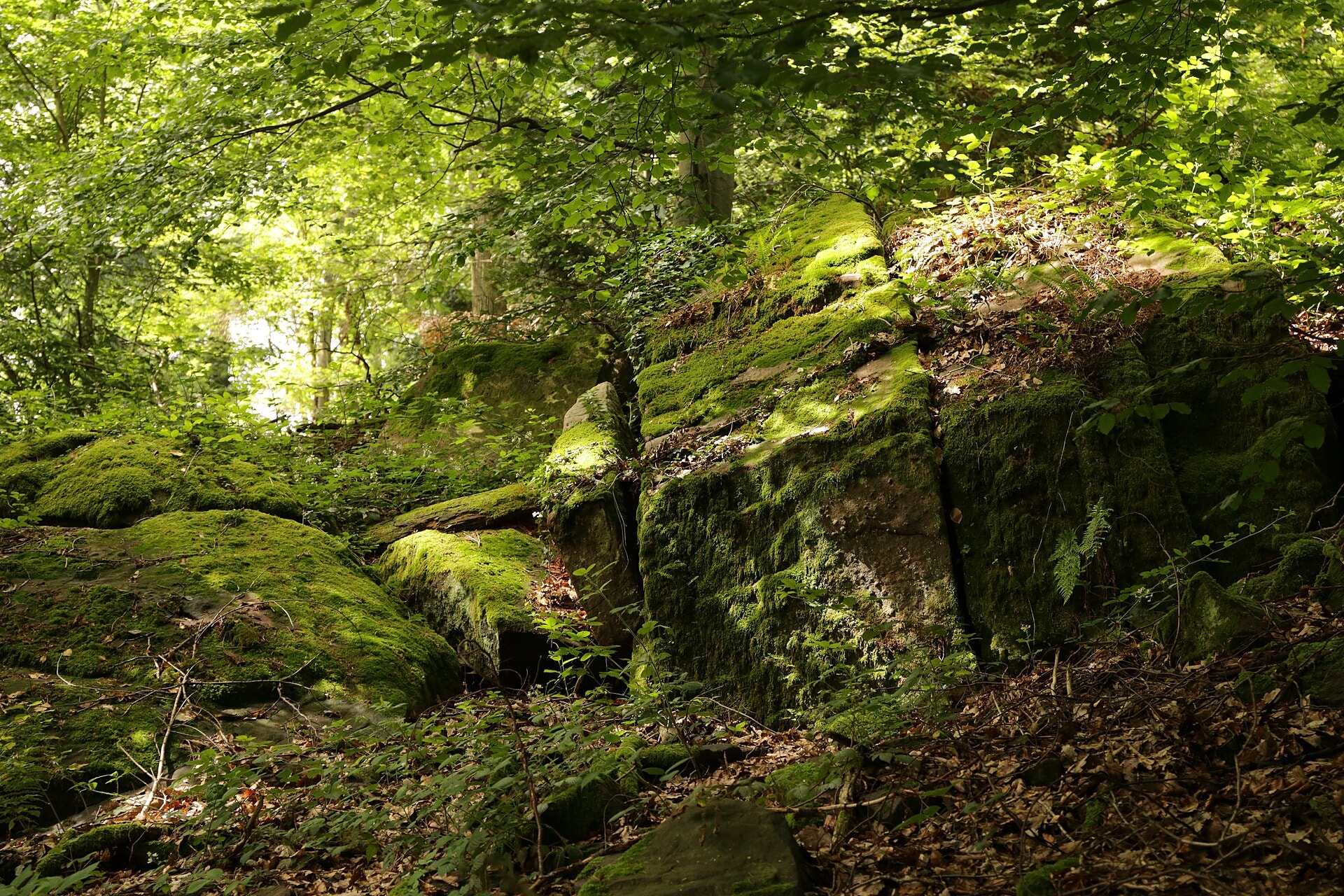 Nibelungensteig - photo 1