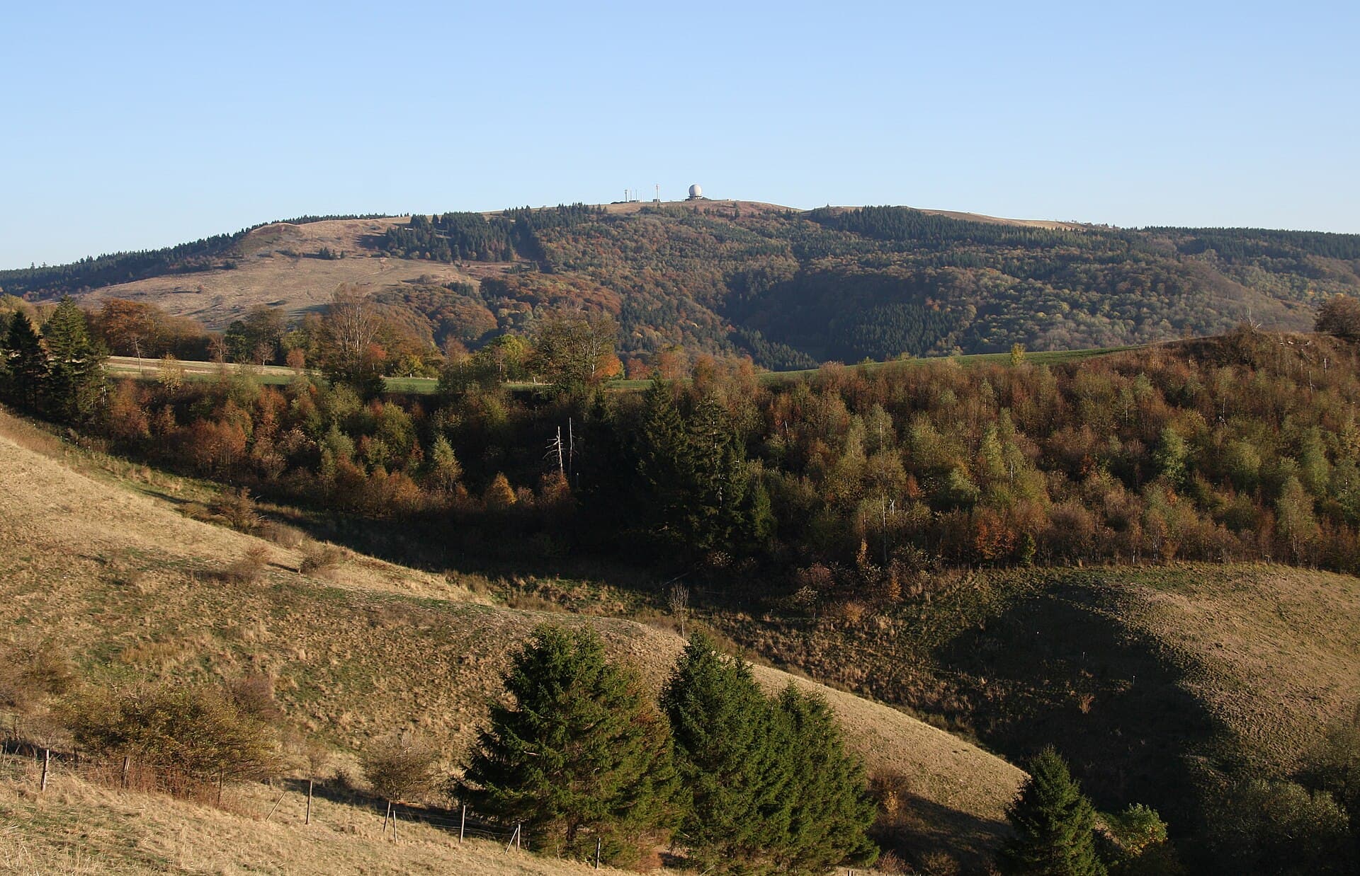 Der Hochrhoner