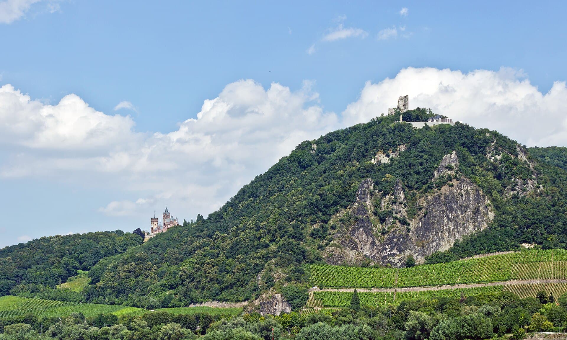 Pfalzer Waldpfad