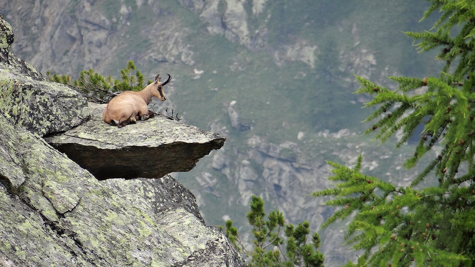 Alta Via 1 Della Valle d'Aosta - photo 1