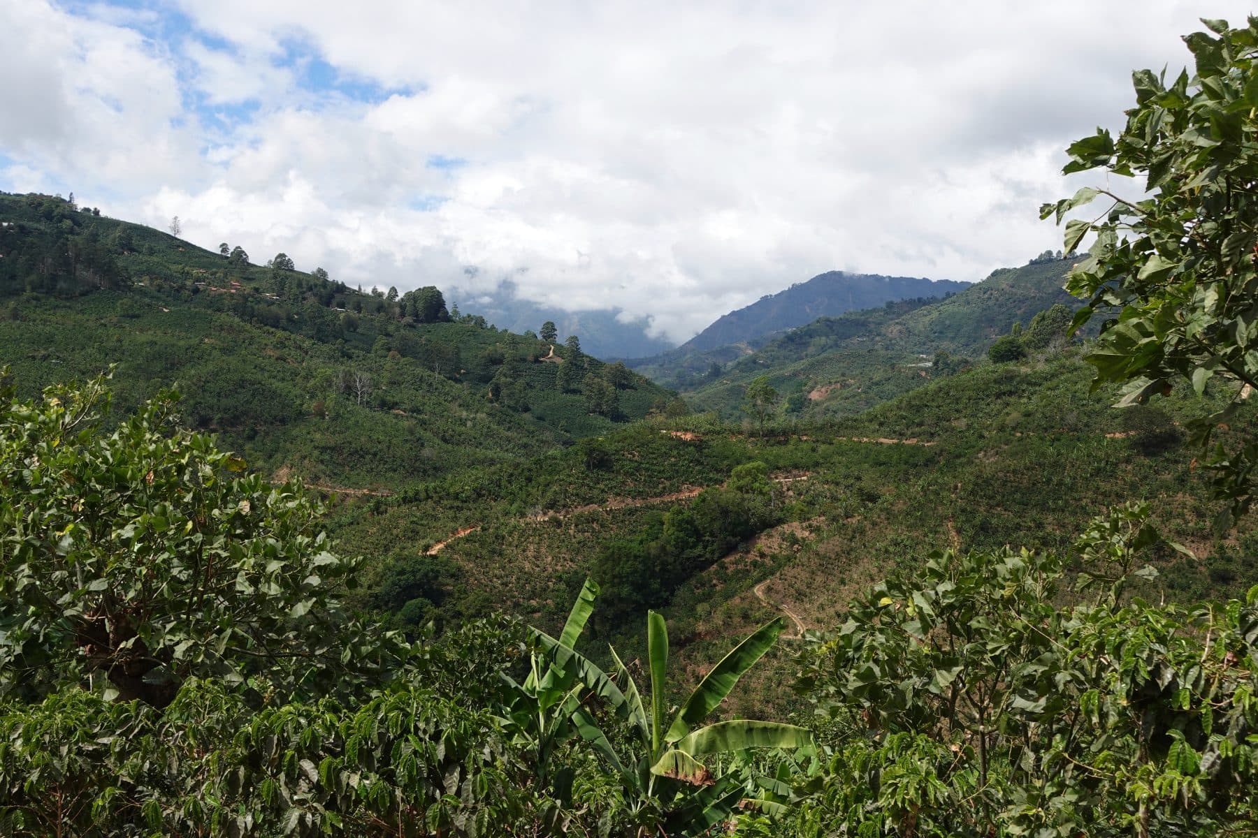 Camino De Costa Rica