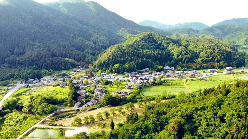 Kumano Kodo Kohechi