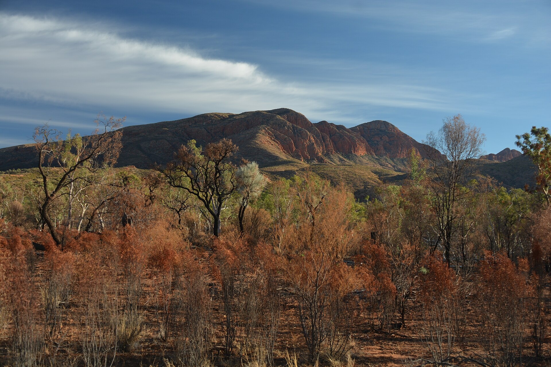 Larapinta Trail - photo 1