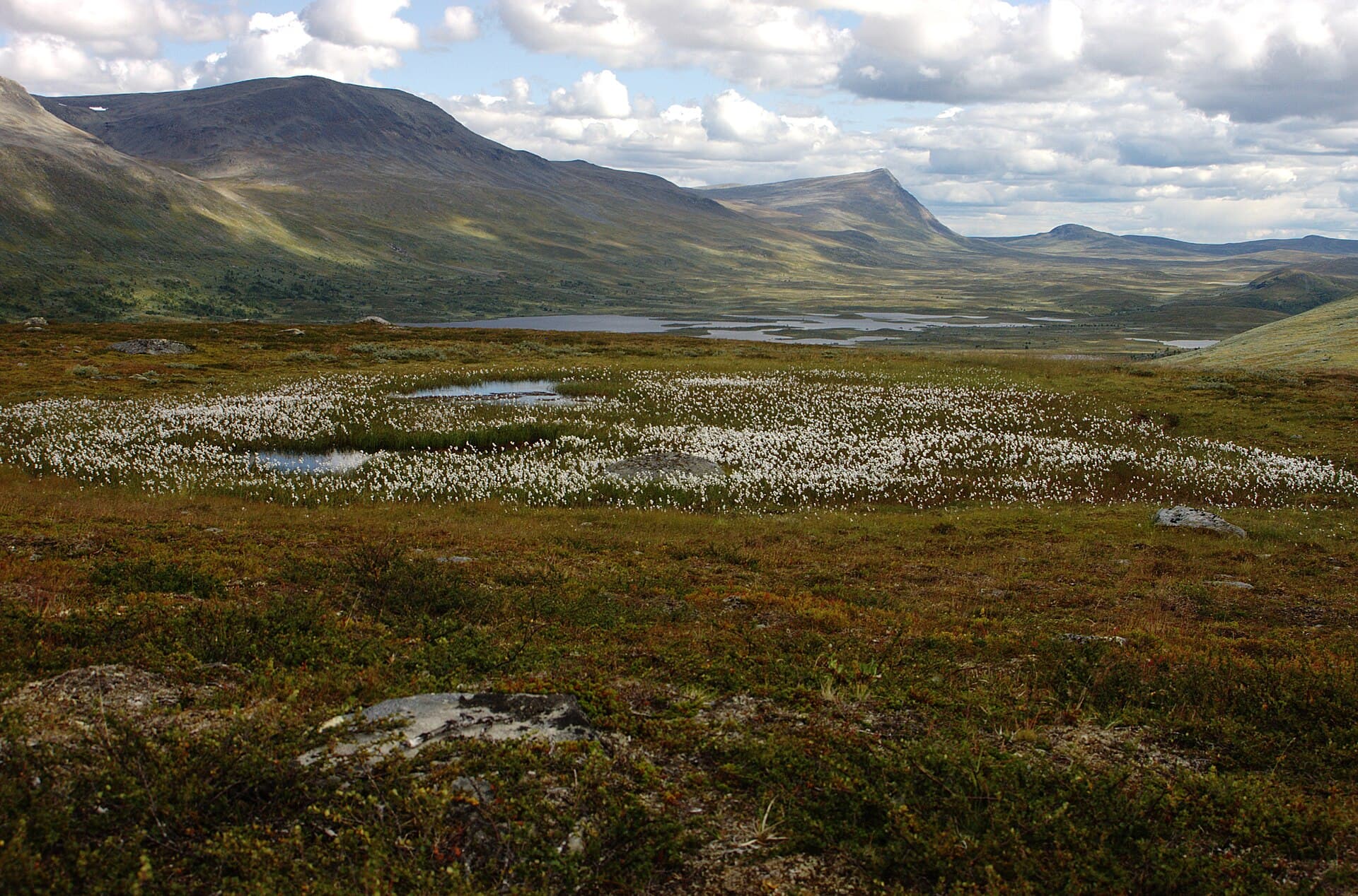 Sodra Kungsleden