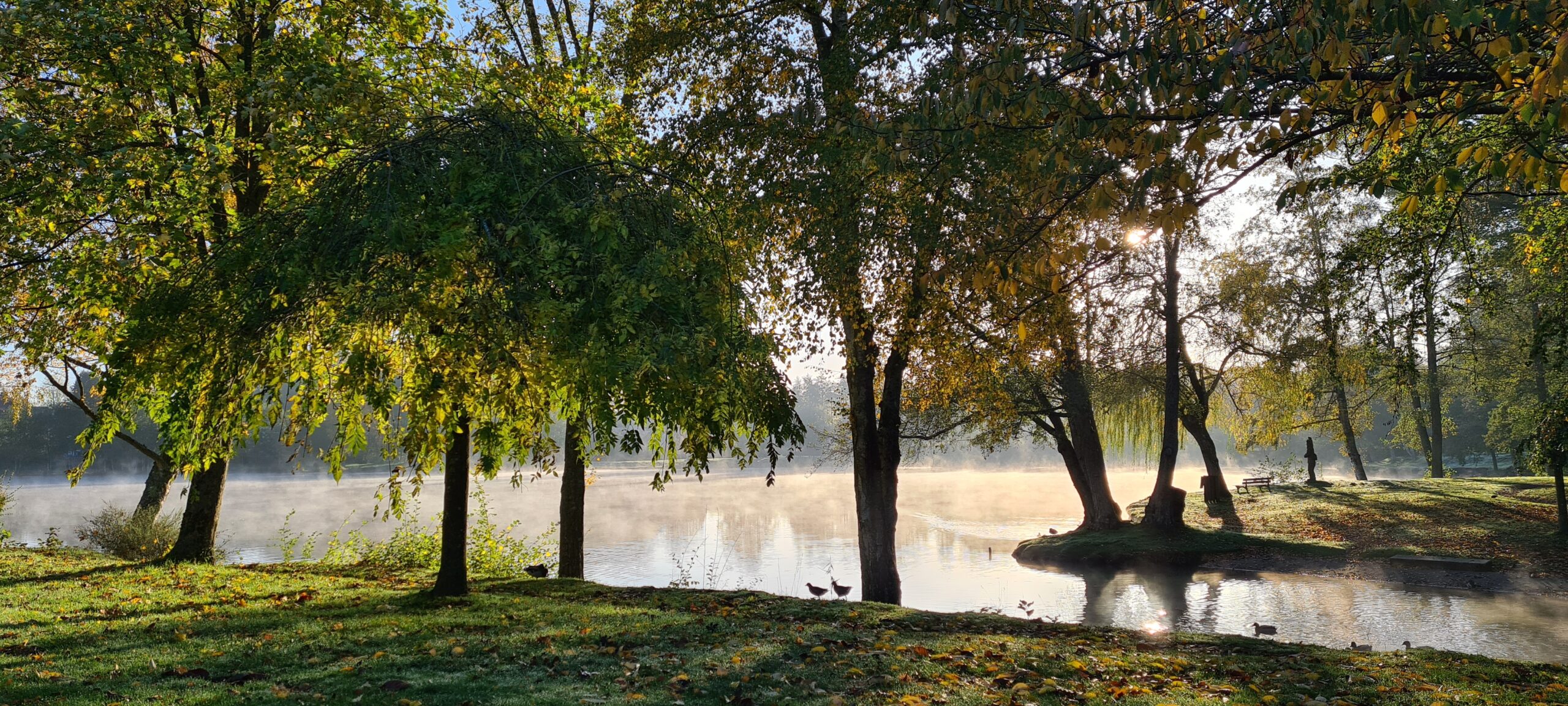 Les Chemins du Perche forestier - photo 1