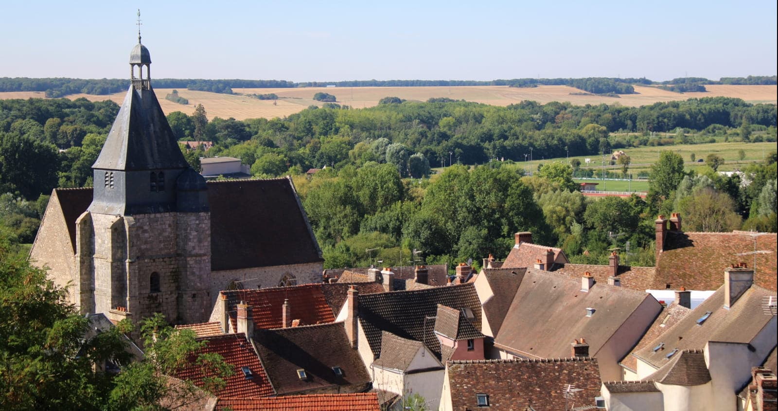 Les Chemins de la forêt de Rambouillet