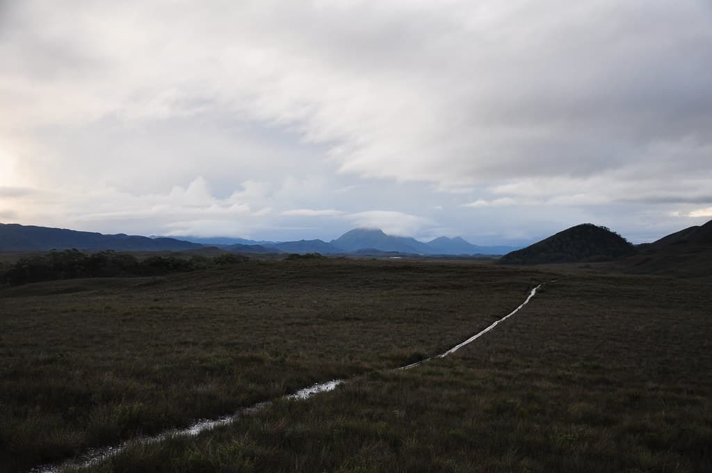 South Coast Track