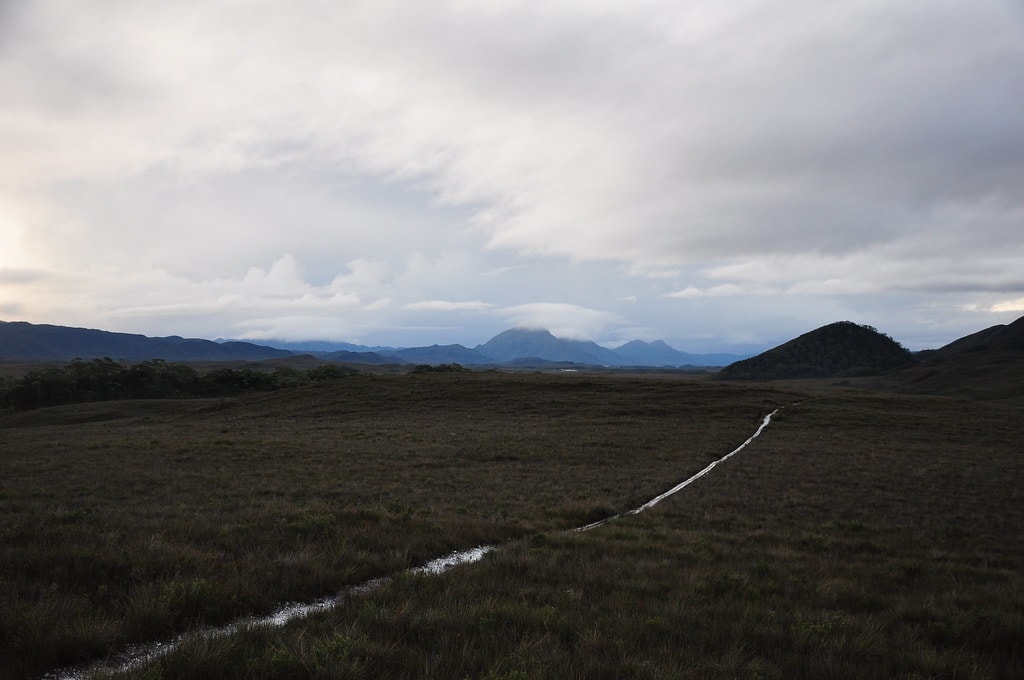 South Coast Track - photo 1