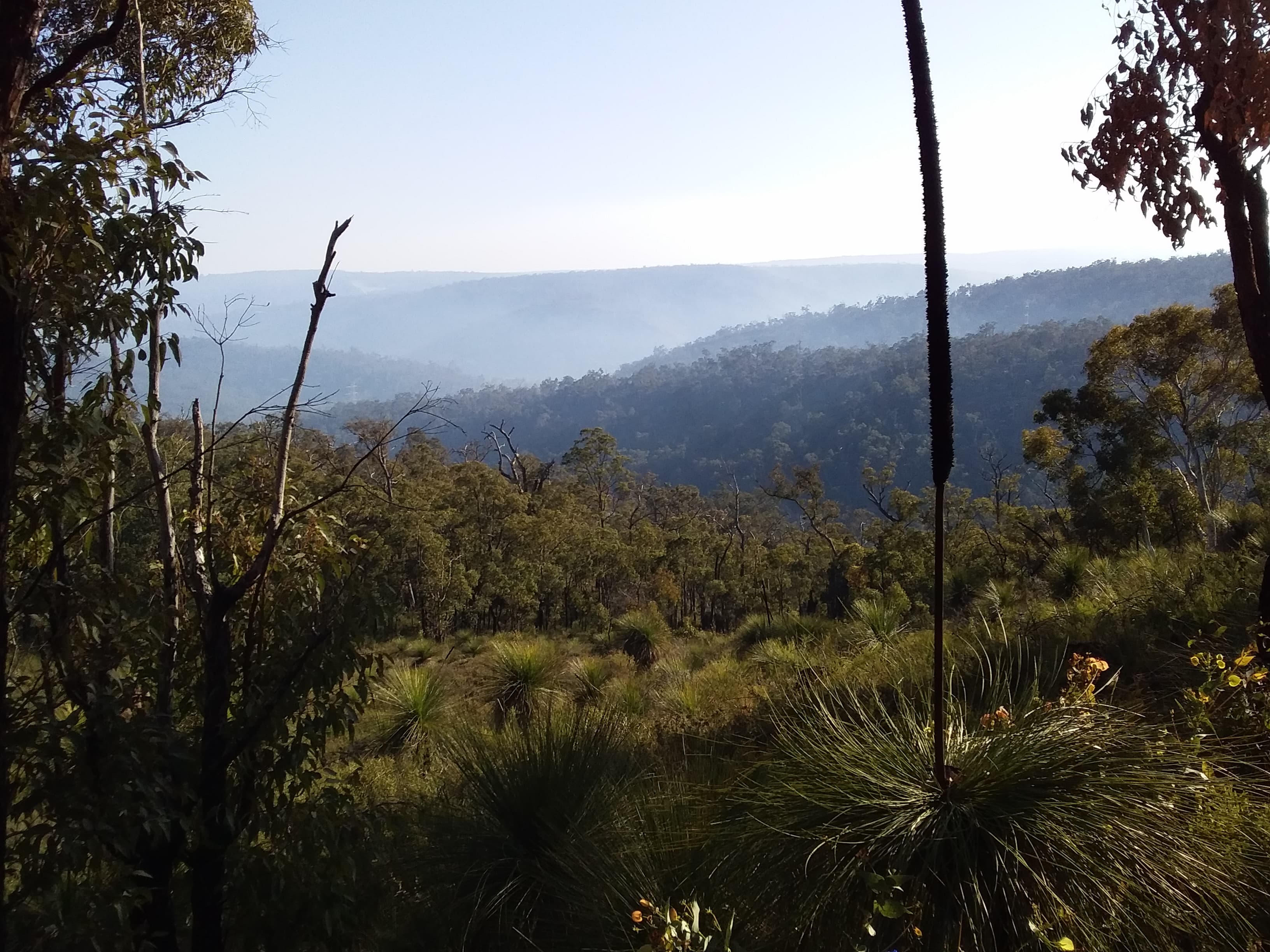 Bibbulmun Track